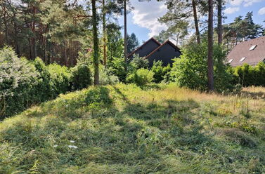 Großes Baugrundstück in Borkheide - 996 m² groß