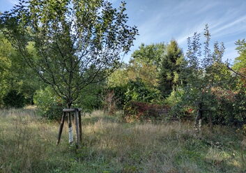 Großes Baugrundstück in Borkheide - 1.001 m² groß