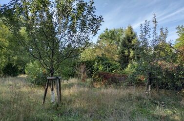 Großes Baugrundstück in Borkheide - 1.001 m² groß